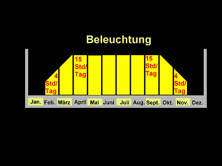 Beleuchtungsperiode