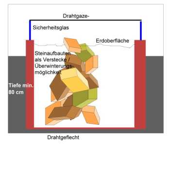 Schematischer Aufbau Freilandterrarium