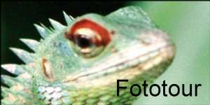 Fototour