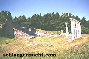 Apollon-Tempel, Treppe zur dritten Terrasse