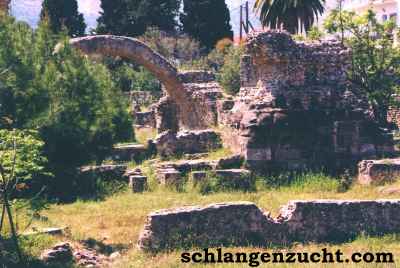 Westl. Ausgrabungstätte Kos-Stadt, Via Cardo und Nymphaeum