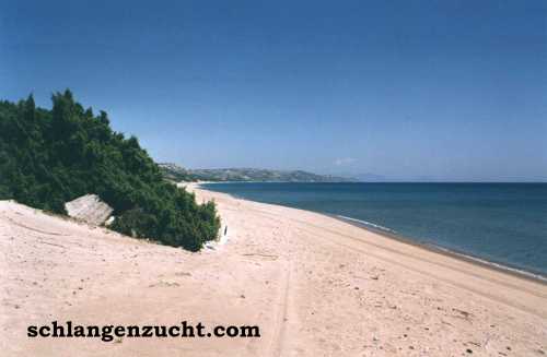 Die schönsten Strände befinden sich im Süden der Kefalos-Halbinsel.