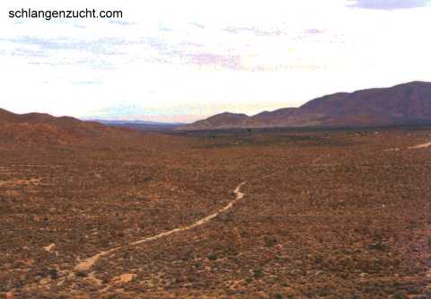 Anza Borrego Desert